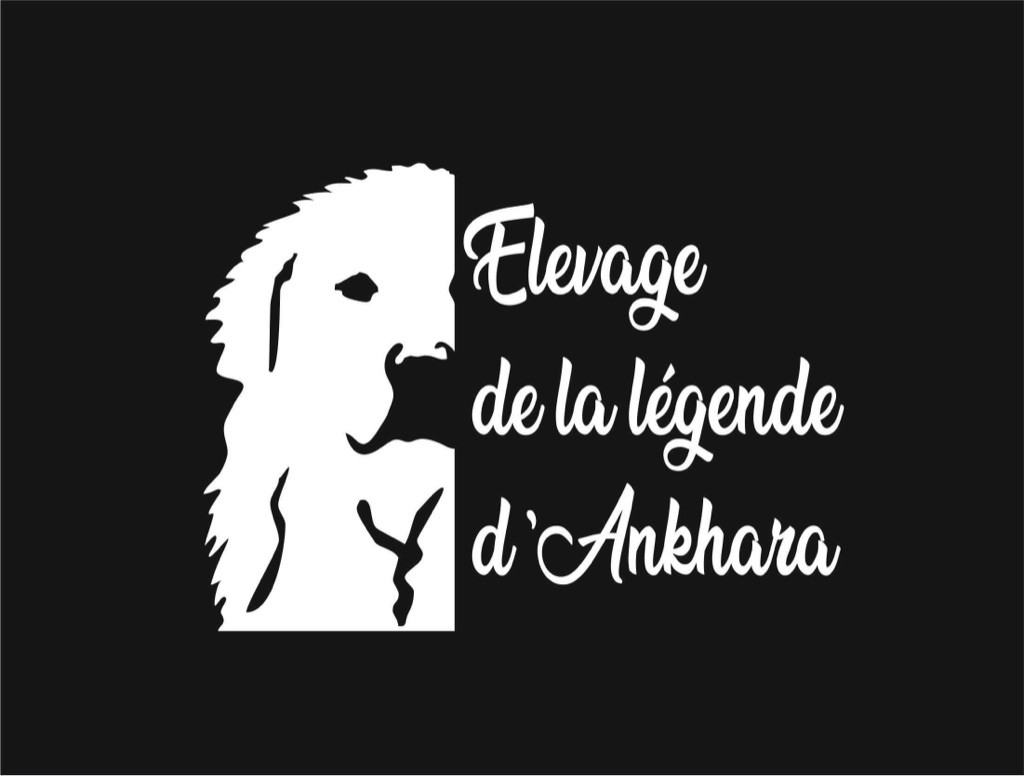 De La Légende D'Ankhara - Logo d?élevage 